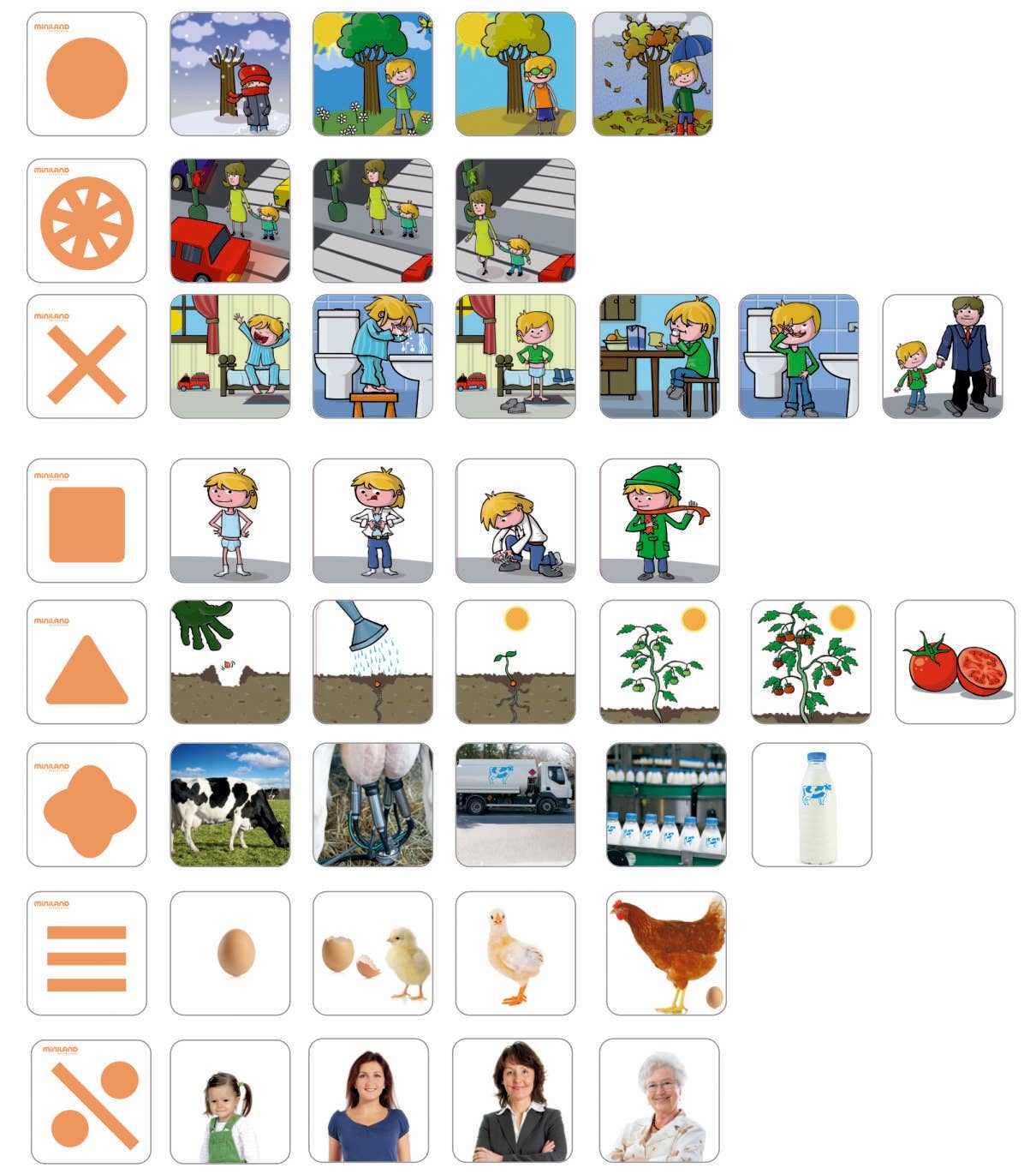 Miniland Educational - Learning Sequences: Little Stories for 5-6 years old
