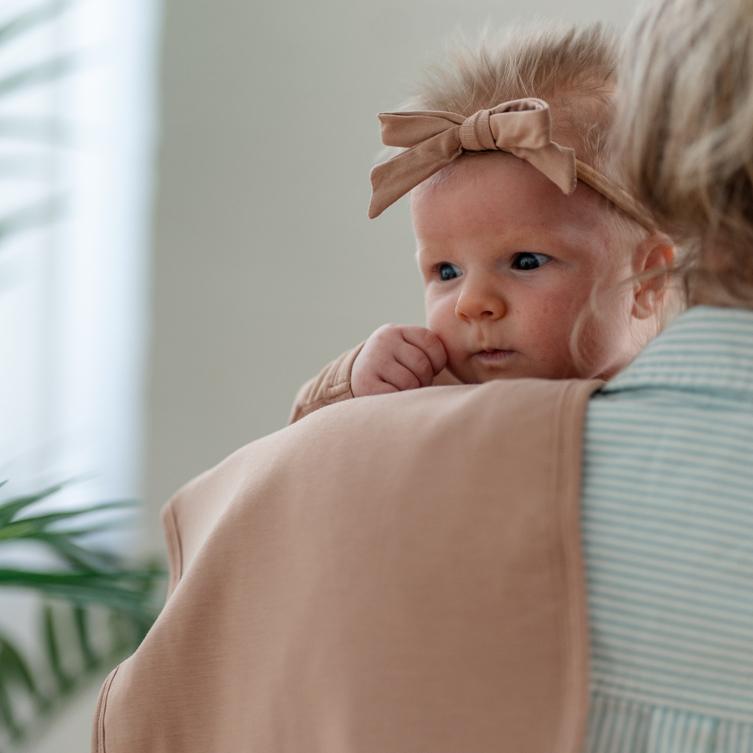 Pip + Phee - Bows | 2 Pack | Solids